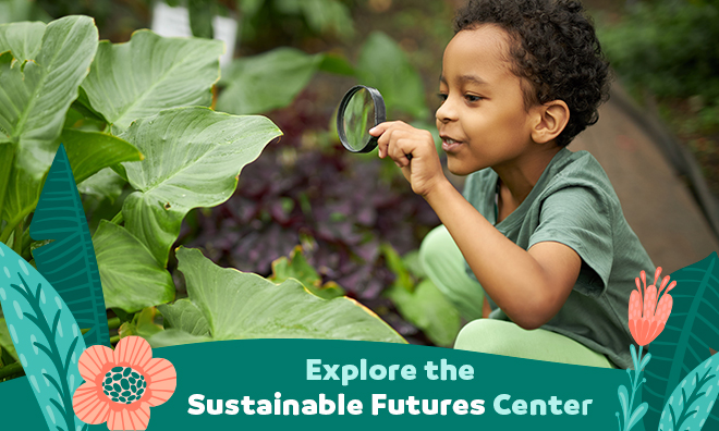 A young boy observes a green plant with a magnifying glass. The bottom typography reads "Explore the Sustainable Futures Center"