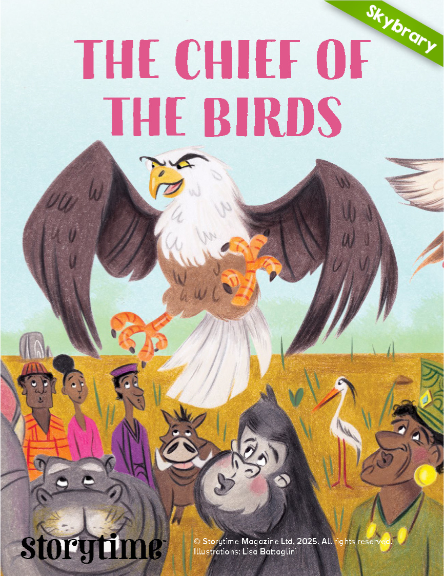 The Chief of the Birds book cover