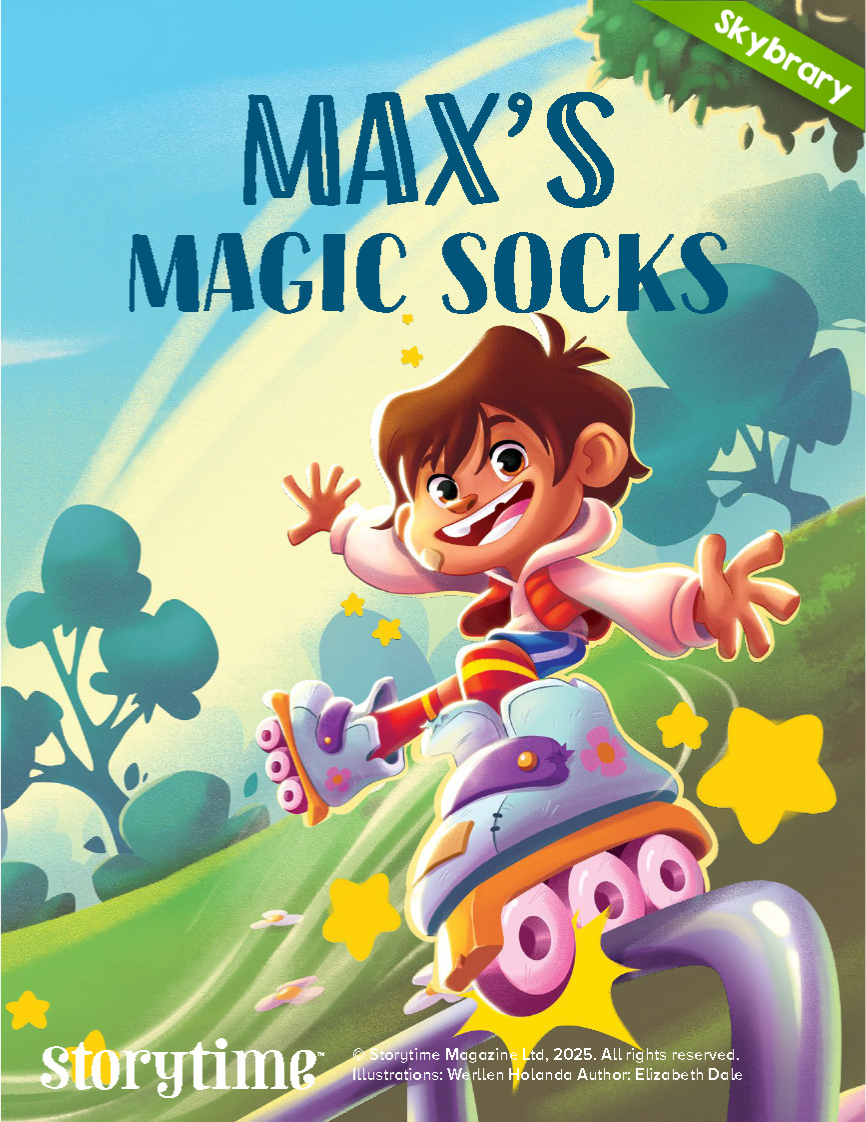 Max Magic Socks book cover