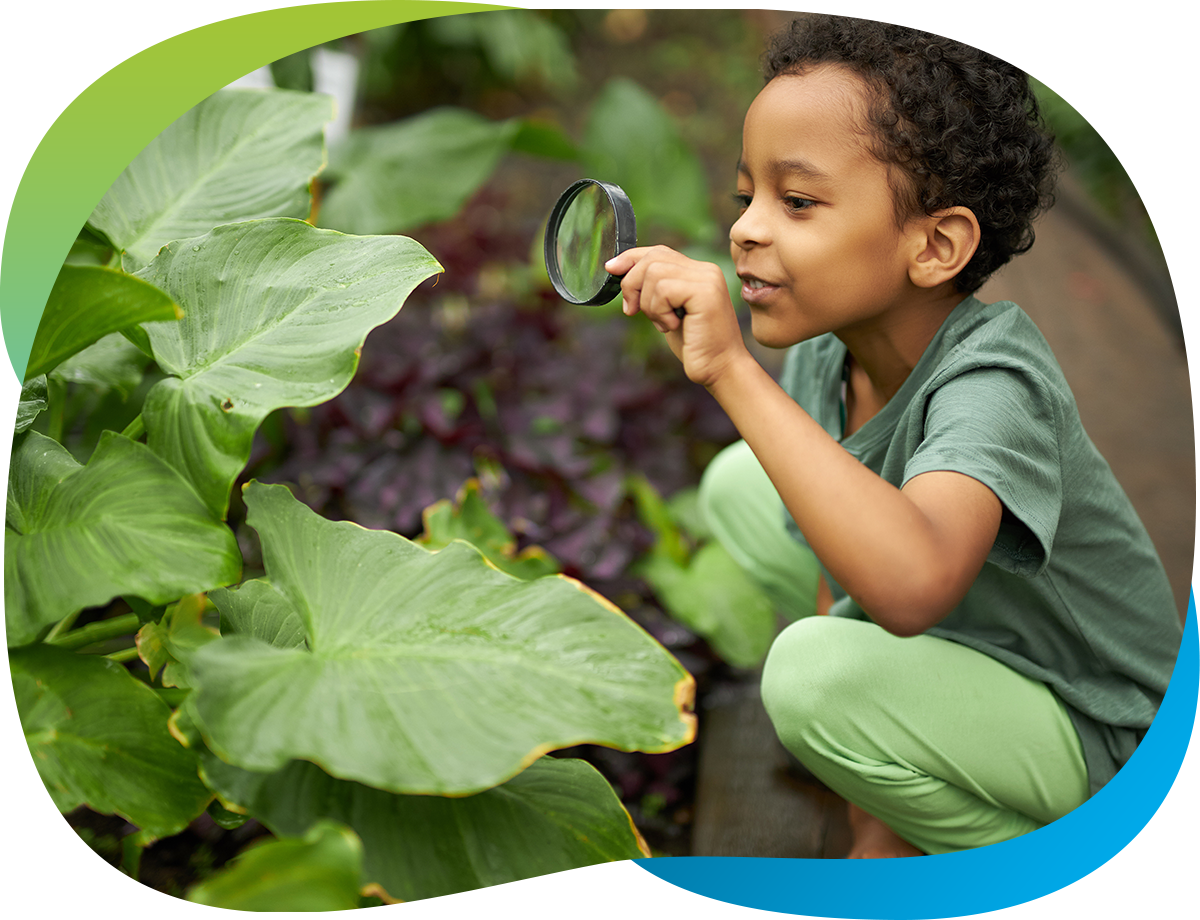 A young boy crouches by a large plant with a magnifying glass in his hand. 